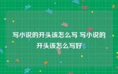 写小说的开头该怎么写 写小说的开头该怎么写好