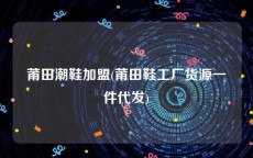 莆田潮鞋加盟(莆田鞋工厂货源一件代发)