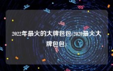 2022年最火的大牌包包(2020最火大牌包包)