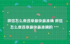微信怎么查违章最快最准确 微信怎么查违章最快最准确的 *** 