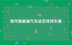 想开新能源汽车店怎样找车源