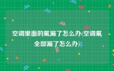 空调里面的氟漏了怎么办(空调氟全部漏了怎么办)
