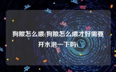 狗粮怎么喂(狗粮怎么喂才好需要开水泡一下吗)