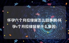 怀孕六个月拉绿屎怎么回事啊(怀孕6个月拉绿屎是什么原因)