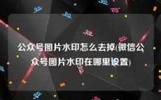 公众号图片水印怎么去掉(微信公众号图片水印在哪里设置)