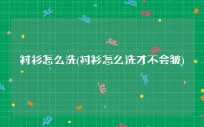 衬衫怎么洗(衬衫怎么洗才不会皱)