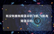 有没有拥有降落伞的飞机(飞机有降落伞吗)