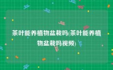 茶叶能养植物盆栽吗(茶叶能养植物盆栽吗视频)