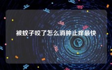 被蚊子咬了怎么消肿止痒最快