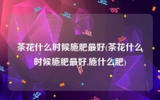 茶花什么时候施肥最好(茶花什么时候施肥最好,施什么肥)