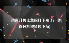 一架直升机让鱼给打下来了(一架直升机被鱼拉下海)