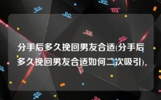 分手后多久挽回男友合适(分手后多久挽回男友合适如何二次吸引)