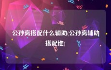 公孙离搭配什么辅助(公孙离辅助搭配谁)