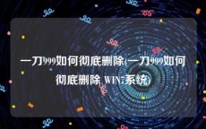 一刀999如何彻底删除(一刀999如何彻底删除 WIN7系统)