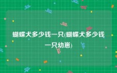 蝴蝶犬多少钱一只(蝴蝶犬多少钱一只幼崽)