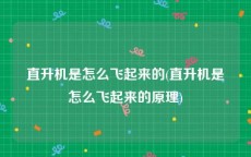 直升机是怎么飞起来的(直升机是怎么飞起来的原理)