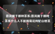 普洱属于哪种茶系(普洱属于哪种茶系什么人不能喝菊花枸杞山楂茶)