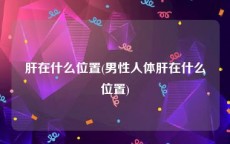 肝在什么位置(男性人体肝在什么位置)