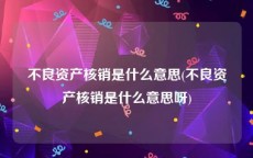 不良资产核销是什么意思(不良资产核销是什么意思呀)