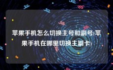 苹果手机怎么切换主号和副号(苹果手机在哪里切换主副卡)