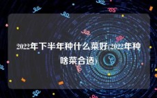 2022年下半年种什么菜好(2022年种啥菜合适)