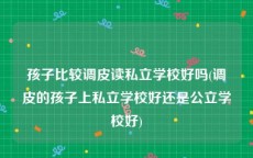 孩子比较调皮读私立学校好吗(调皮的孩子上私立学校好还是公立学校好)