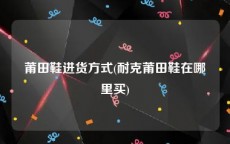 莆田鞋进货方式(耐克莆田鞋在哪里买)