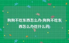 狗狗不吃东西怎么办(狗狗不吃东西怎么办吃什么药)