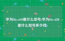 华为ldn-al20是什么型号(华为ldn-al20是什么型号多少钱)