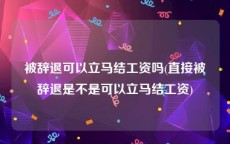 被辞退可以立马结工资吗(直接被辞退是不是可以立马结工资)