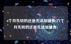 6个月先转奶还是先添加辅食(六个月先转奶还是先添加辅食)