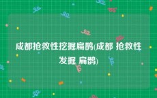 成都抢救性挖掘扁鹊(成都 抢救性发掘 扁鹊)