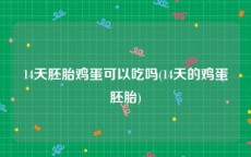 14天胚胎鸡蛋可以吃吗(14天的鸡蛋胚胎)