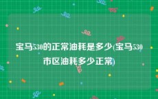 宝马530的正常油耗是多少(宝马530市区油耗多少正常)