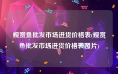 观赏鱼批发市场进货价格表(观赏鱼批发市场进货价格表图片)