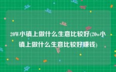 20W小镇上做什么生意比较好(20w小镇上做什么生意比较好赚钱)