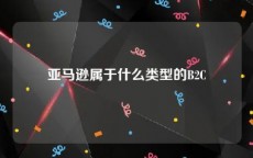亚马逊属于什么类型的B2C
