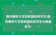 国内哪些大学招收国际班学生(国内哪些大学招收国际班学生分数是多少)