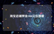 淘宝店铺押金1000元在哪里
