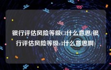 银行评估风险等级C3什么意思(银行评估风险等级c3什么意思啊)