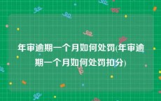 年审逾期一个月如何处罚(年审逾期一个月如何处罚扣分)