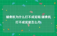 辅食机为什么打不成泥呢(辅食机打不成泥是怎么办)
