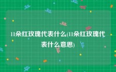 11朵红玫瑰代表什么(11朵红玫瑰代表什么意思)
