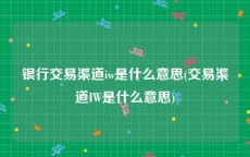 银行交易渠道iw是什么意思(交易渠道IW是什么意思)