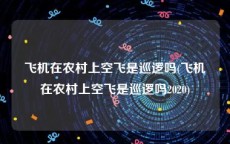 飞机在农村上空飞是巡逻吗(飞机在农村上空飞是巡逻吗2020)