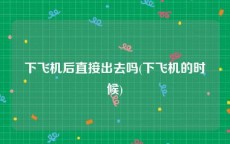 下飞机后直接出去吗(下飞机的时候)