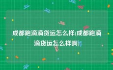 成都跑滴滴货运怎么样(成都跑滴滴货运怎么样啊)