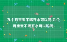 九个月宝宝不喝开水可以吗(九个月宝宝不喝开水可以吗吗)