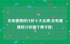 充电便携榨汁杯十大名牌(充电便携榨汁杯哪个牌子好)