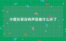 小度在家没有声音是什么坏了